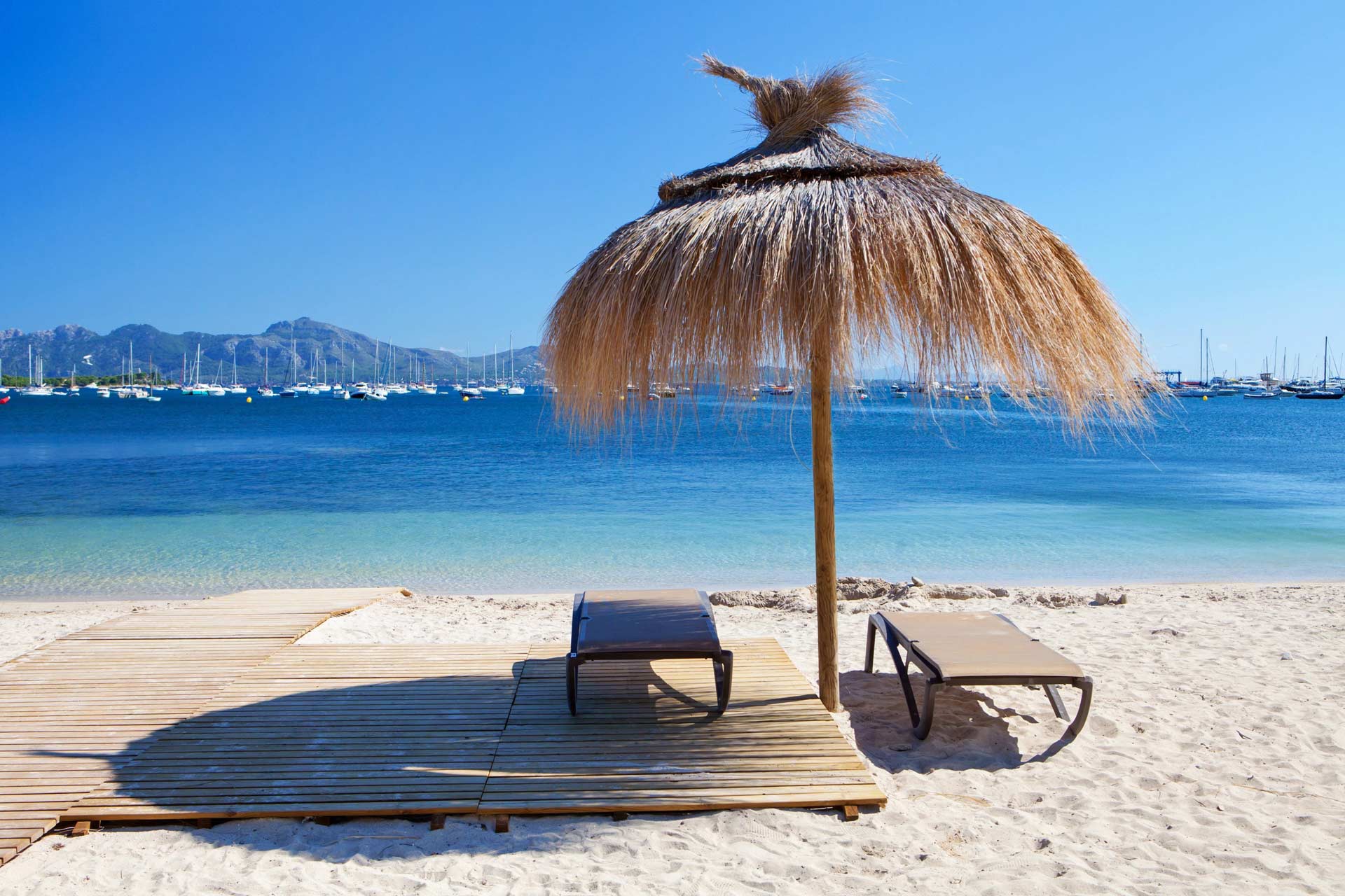 beach Port de Pollensa