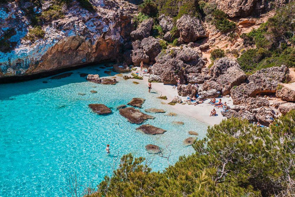 Diversidad de la Naturaleza Mallorquina