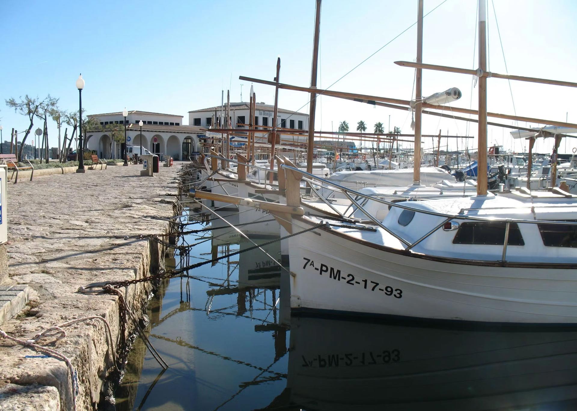 centro turístico Pollensa