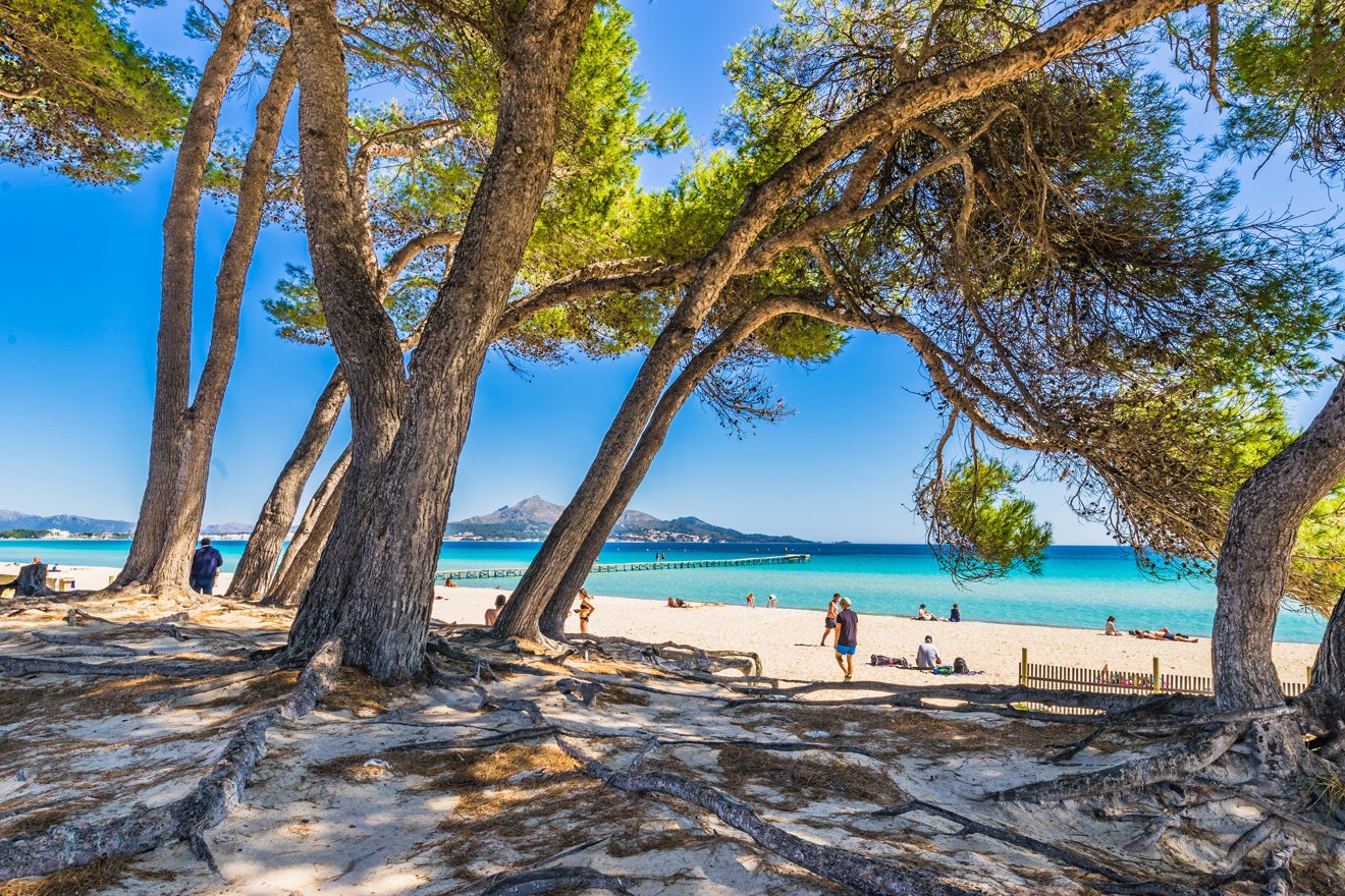 Puerto Alcudia Mallorca